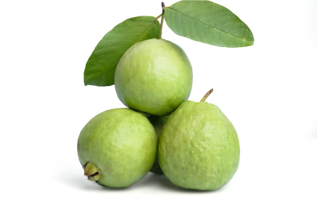 "पेरू शेती(Guava Farming)" organic guava fruit with stems and leaves, bright green skin, pi